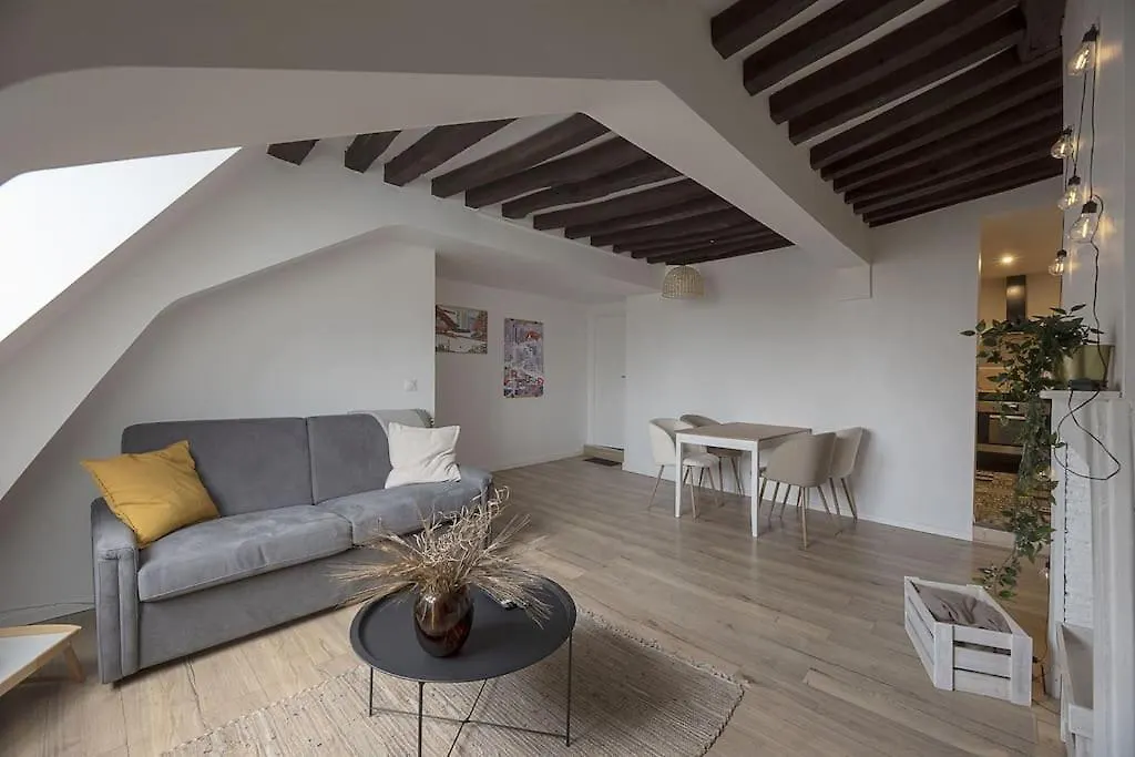 Le Chateau Des Carmes Apartment Rennes